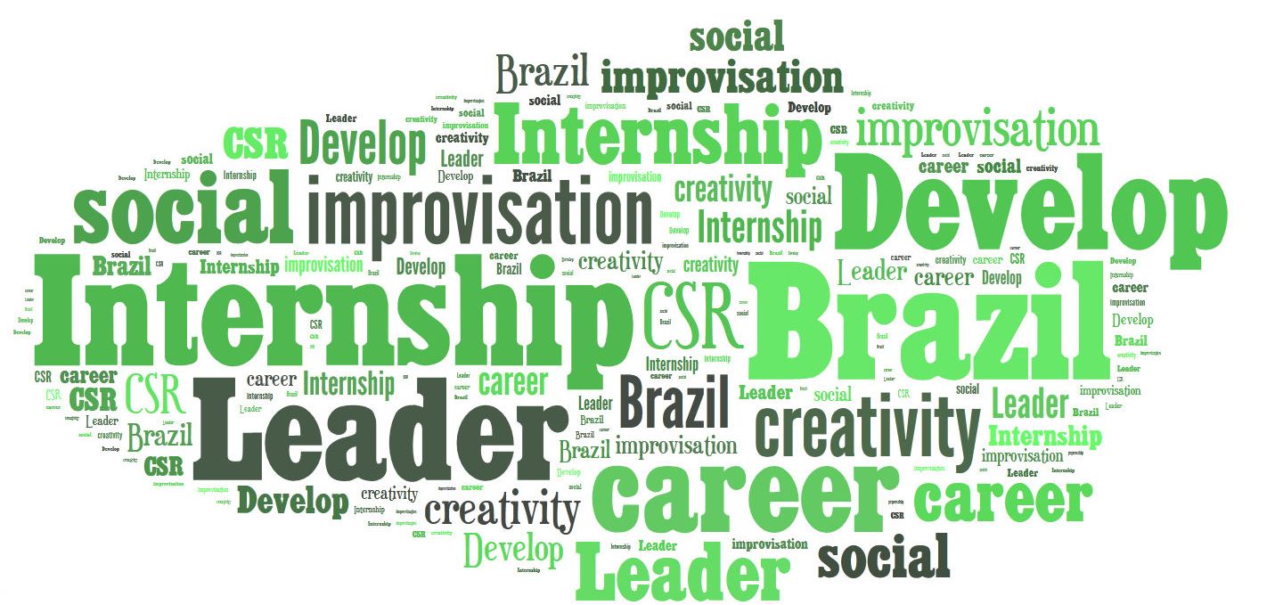 Internship in Brazil GoBrazil School