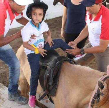 Portuguese Quote of the Month: The Role of Horses in Brazil
