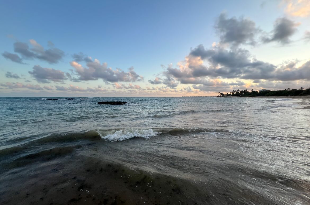 Beach-maceio.png